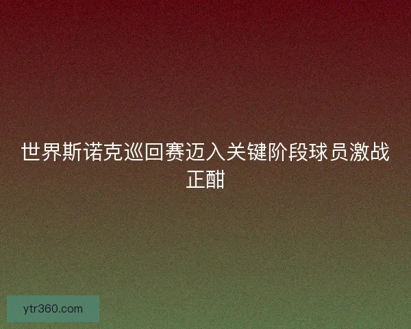 世界斯诺克巡回赛迈入关键阶段球员激战正酣 世界斯诺克巡回赛迈入关键阶段球员激战正酣